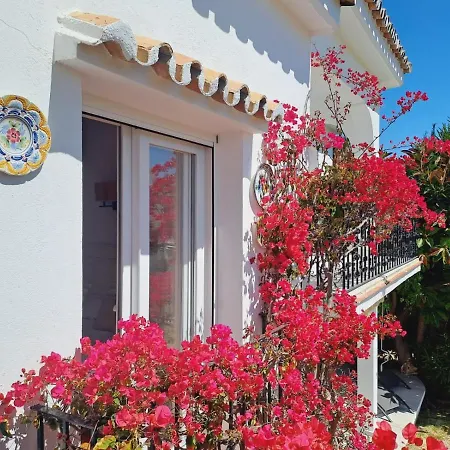 Apartment Noctua Paraiso Alto 011